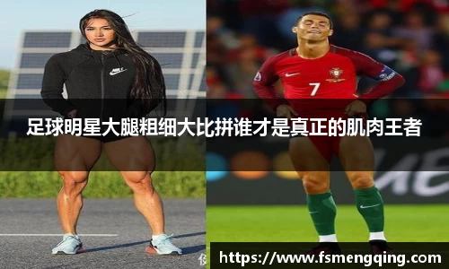 摩根综合体育官网