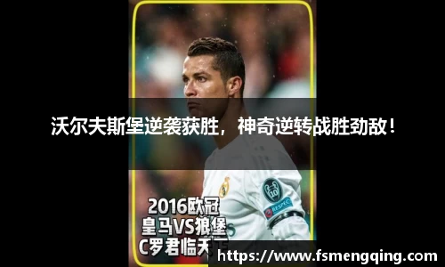 摩根综合体育官网