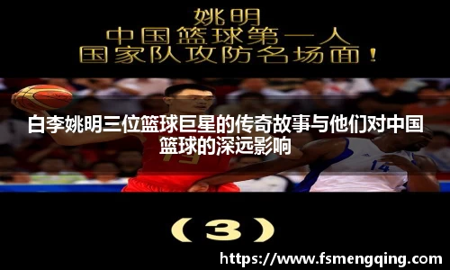 摩根体育