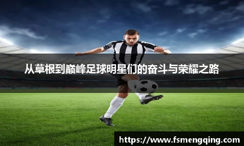 从草根到巅峰足球明星们的奋斗与荣耀之路