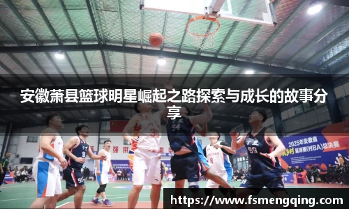 BSport必一运动